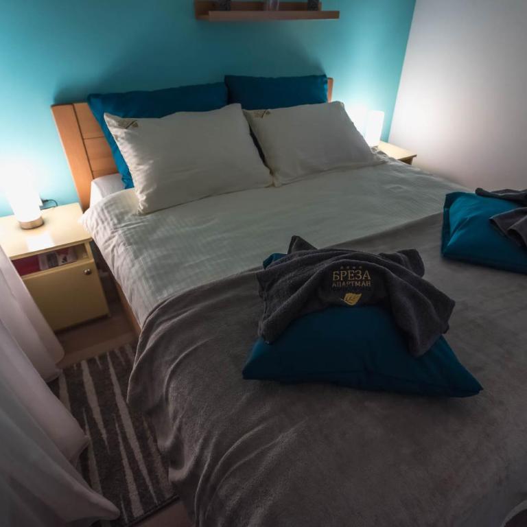 Apartman Breza - Апартман Бреза - Apartman sa 1 Spavaćom Sobom - 32