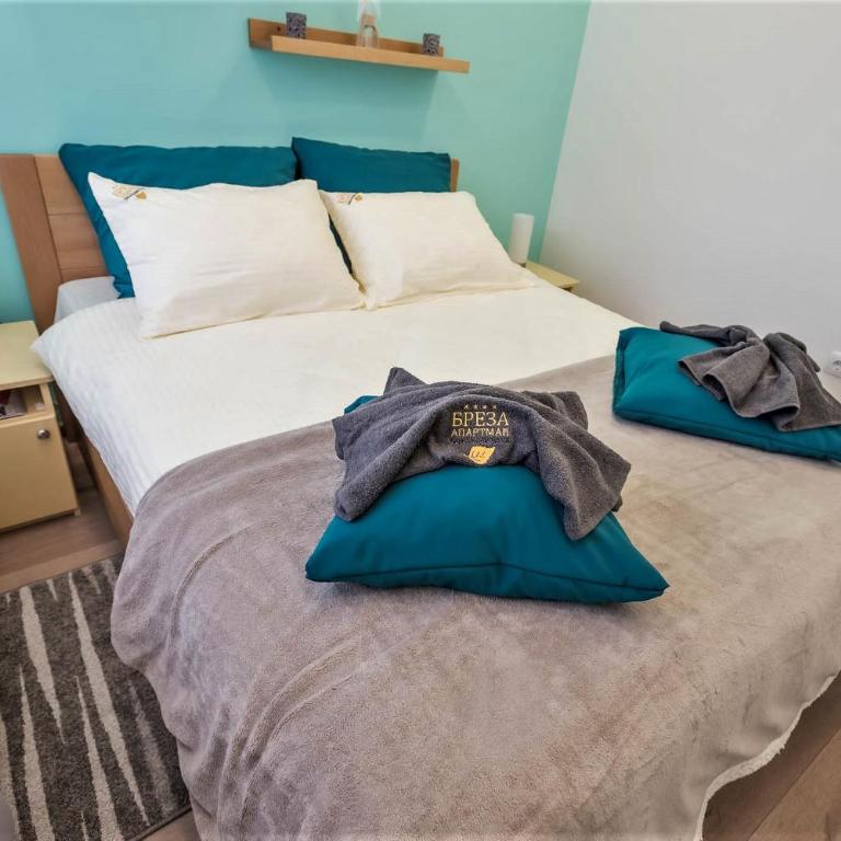 Apartman Breza - Апартман Бреза - Apartman sa 1 Spavaćom Sobom - 30