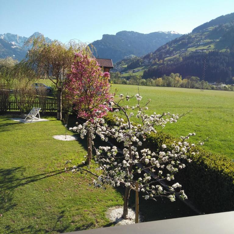 Ferienwohnung Wallner - Apartment mit Terrasse - 13