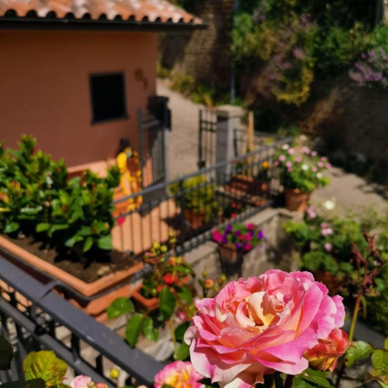 La Fenice - Apartamento de 3 dormitorios - 15