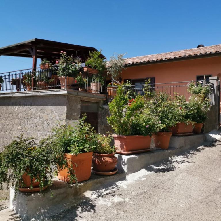 La Fenice - Apartamento de 3 dormitorios - 23