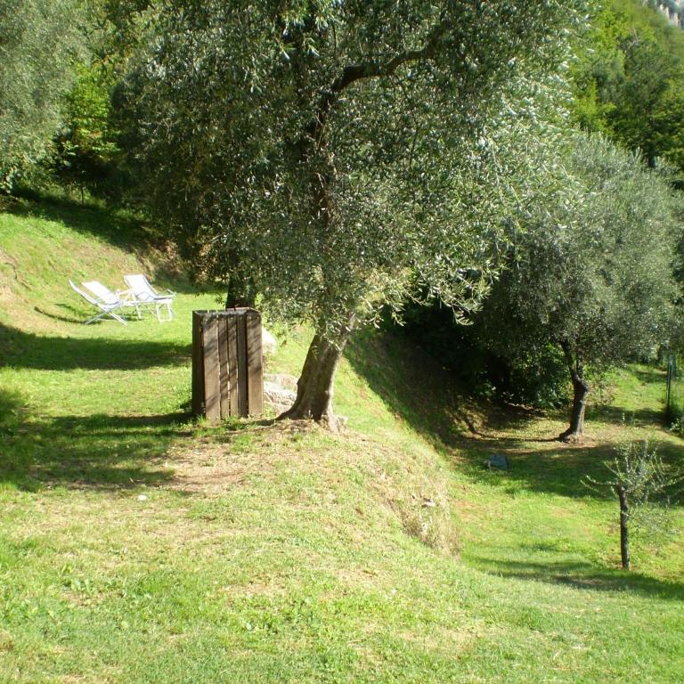 Piccolo Rustico, Casaliva by Theater Home - Appartamento con Vista Lago - 12