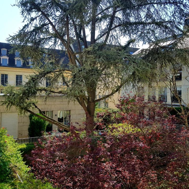 Assia & Nathalie - Luxury B&B MARAIS - Chambre Lit Queen-Size avec Baignoire Spa - 8