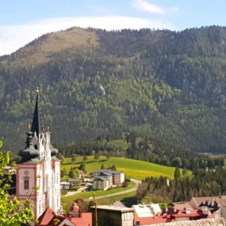 Haus Daniel Mariazell - Haus mit 4 Schlafzimmern - 11