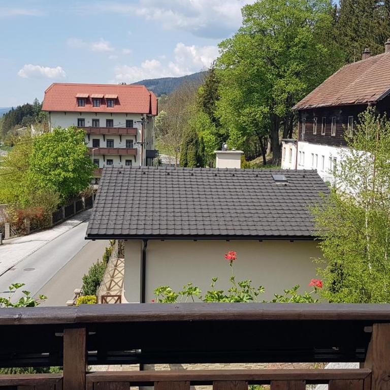 Haus Elena am Semmering - Apartment mit Terrasse - 5