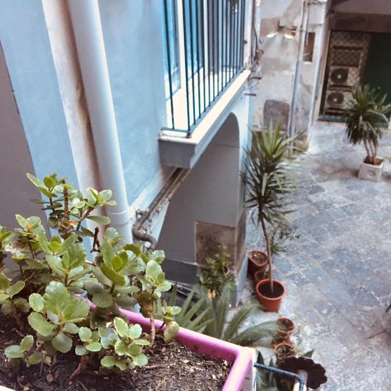 B&B Alloggio Maria - Camera Quadrupla - 15