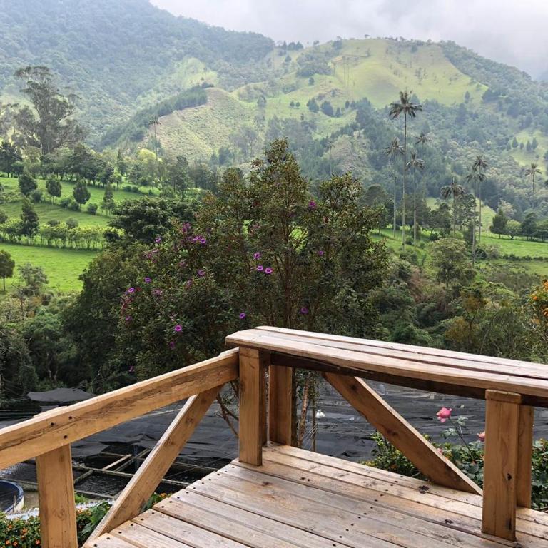 Cabañas Valle del Cocora La Truchera - Chalet - 27