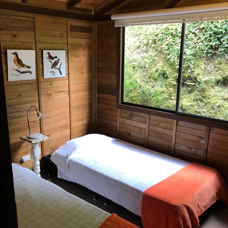 Cabañas Valle del Cocora La Truchera - Chalet - 31