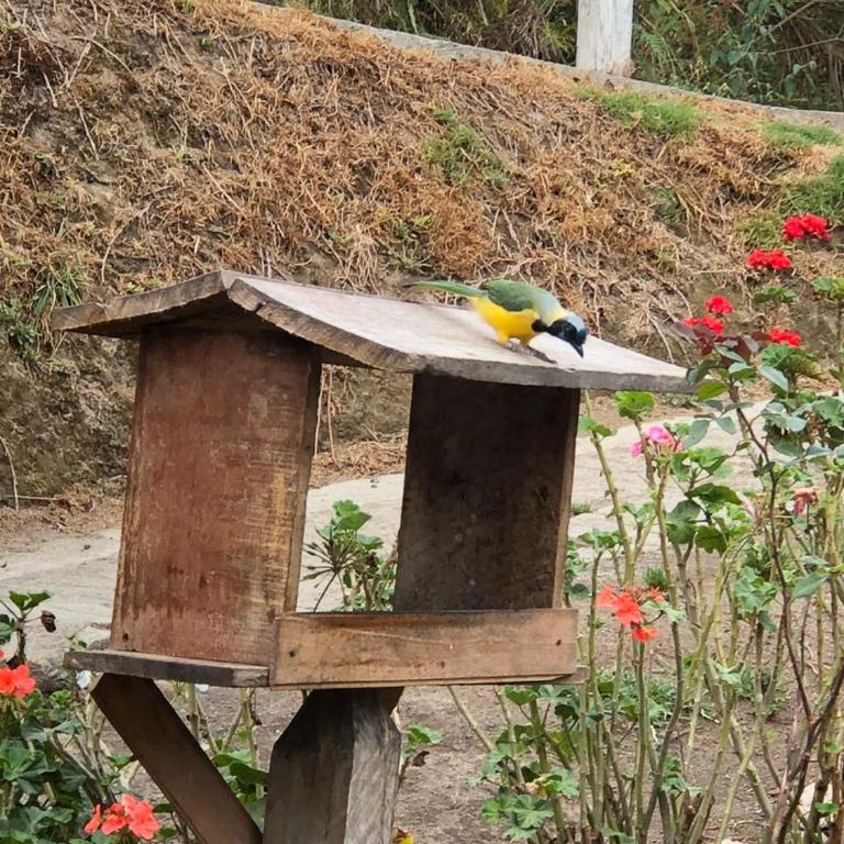 Cabañas Valle del Cocora La Truchera - Chalet - 15