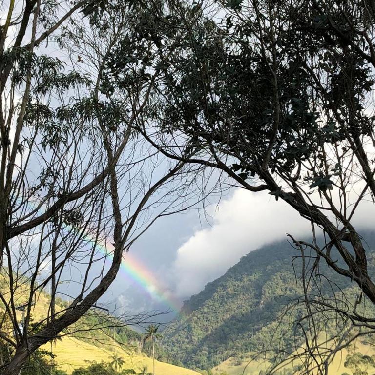 Cabañas Valle del Cocora La Truchera - Chalet - 16
