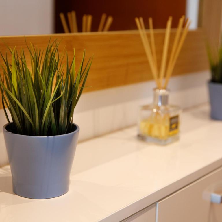 Dali Apartments - Deluks Studio sa Bračnim Krevetom (King-size) - 18
