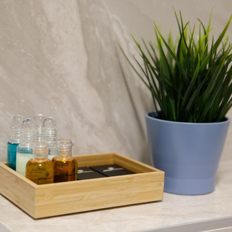 Dali Apartments - Deluks Studio sa Bračnim Krevetom (King-size) - 23
