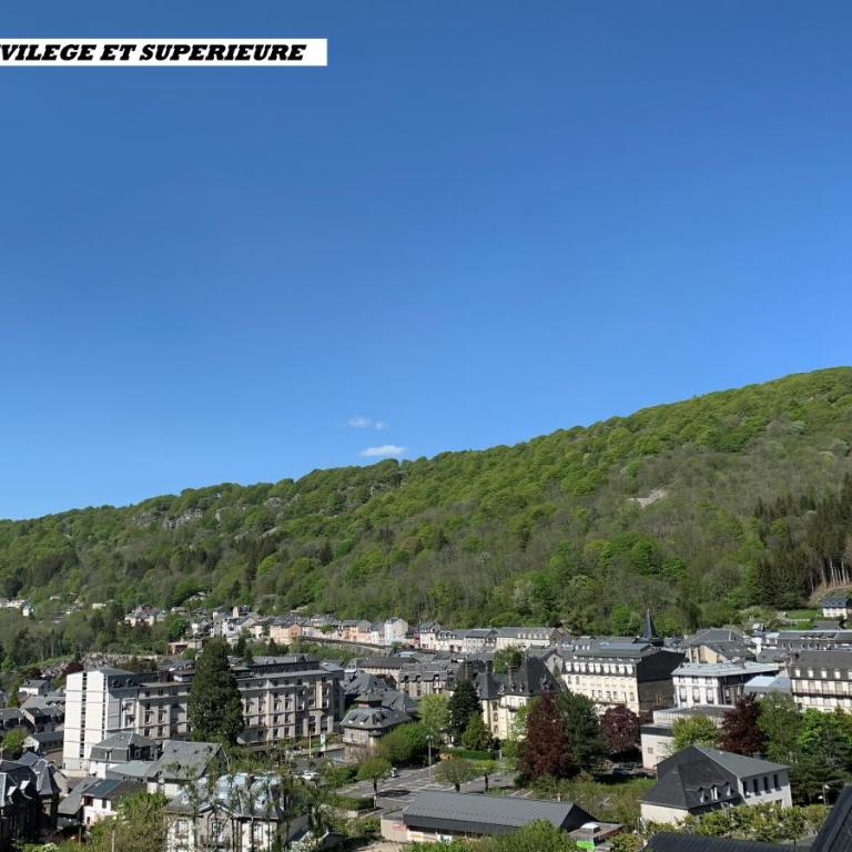 The Originals Boutique Hotel Le Panorama Mont Dore - Chambre Supérieure - Vue sur Vallée - 1
