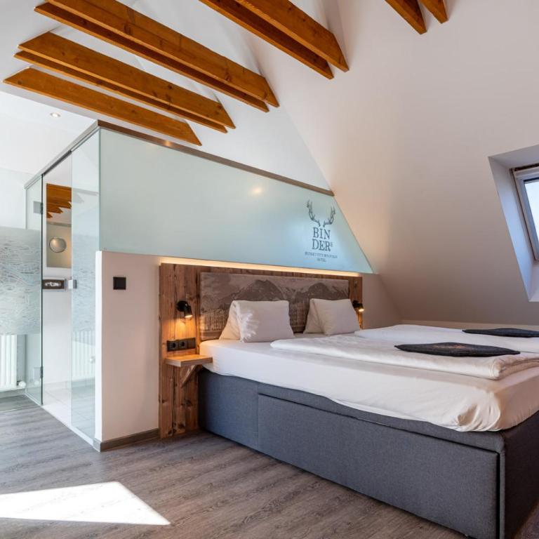 BinderS Budget City-Mountain Hotel - Suite - 1