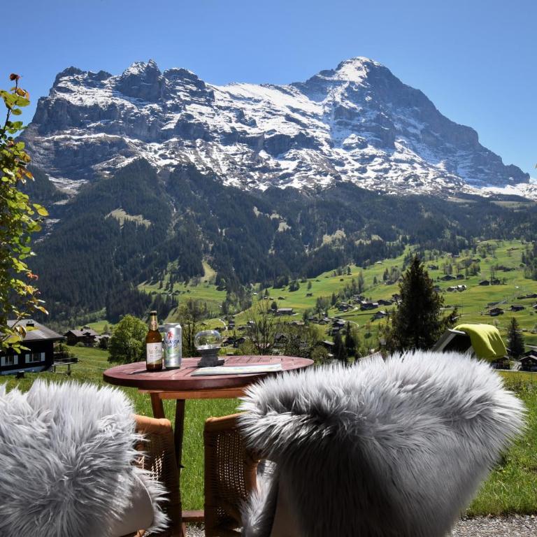Hotel Cabana - Superior Doppelzimmer Enzian mit Blick auf den Eiger und Zugang zum Garten - 1