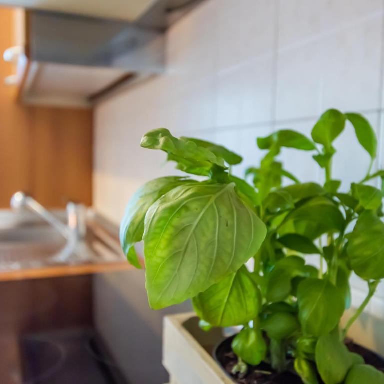 Marialuisa's Home - Le Rive Del Lago - Appartamento con 1 Camera da Letto - 12