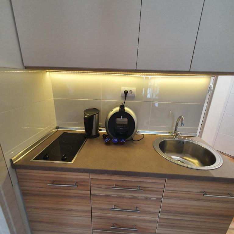 Vila Plan centar Kopaonik - One-Bedroom Apartment - 7