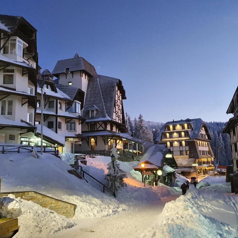 Vila Plan centar Kopaonik - One-Bedroom Apartment - 19