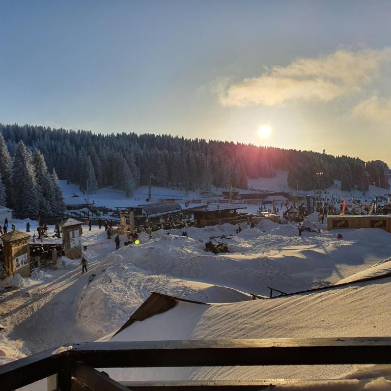 Vila Plan centar Kopaonik - One-Bedroom Apartment - 18