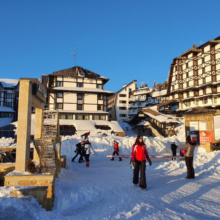 Vila Plan centar Kopaonik - One-Bedroom Apartment - 20
