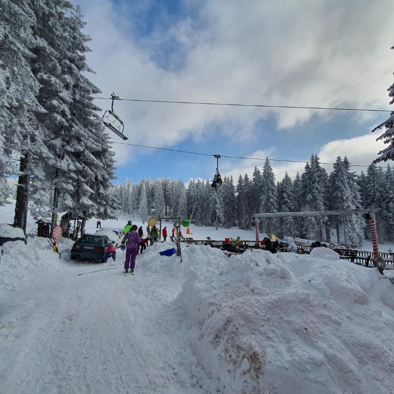 Vila Plan centar Kopaonik - One-Bedroom Apartment - 16