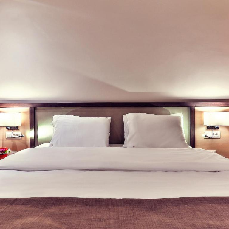 Hotel Bono - Niskobudžetna Dvokrevetna Soba sa Bračnim Krevetom - 4