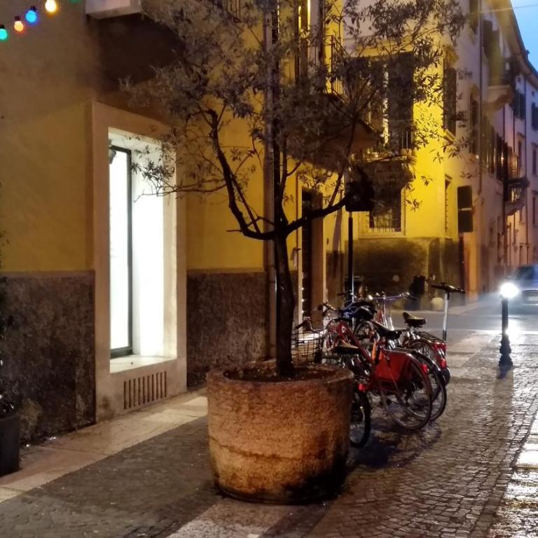 Marconi Rooms Loggia delle Erbe - Studio - Separate Building Via Fama 15 - 5
