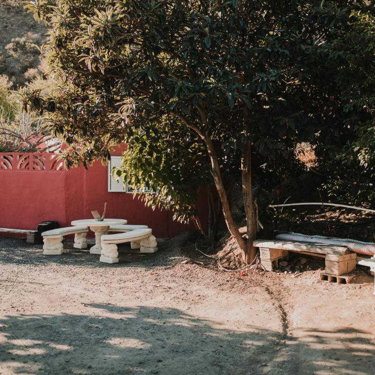 Vivelorural Tunte 4 great pool & BBQ - Apartment - 4