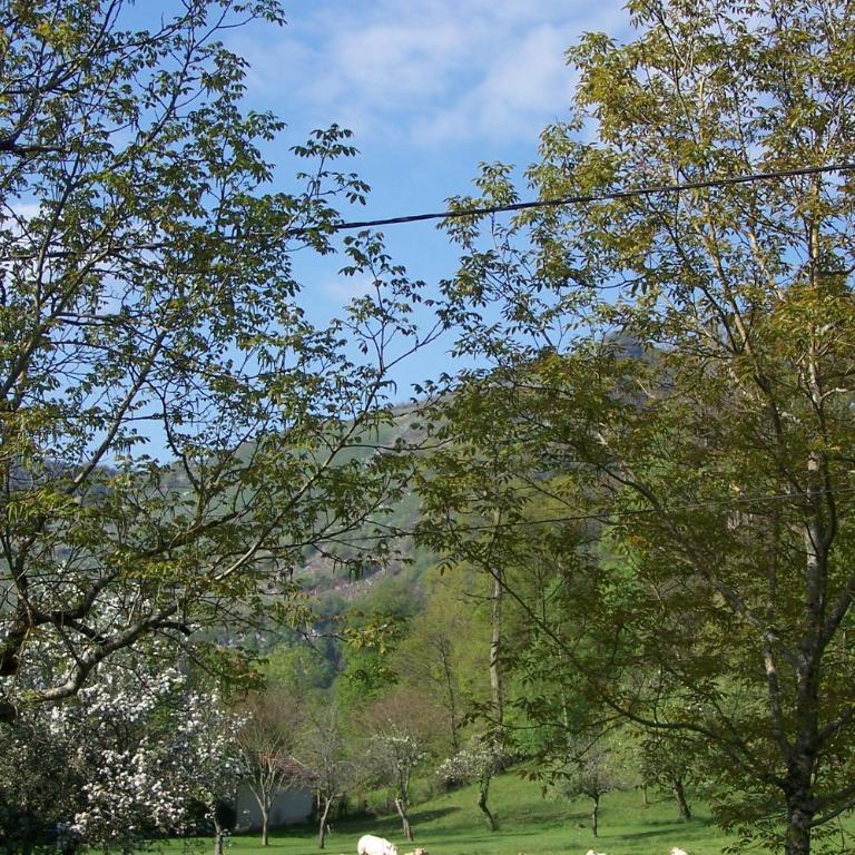 Gite du Lac - Maison 2 Chambres - 2