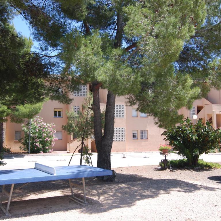 Residencial Guardamar Zeus - Apartamento con terraza - 8