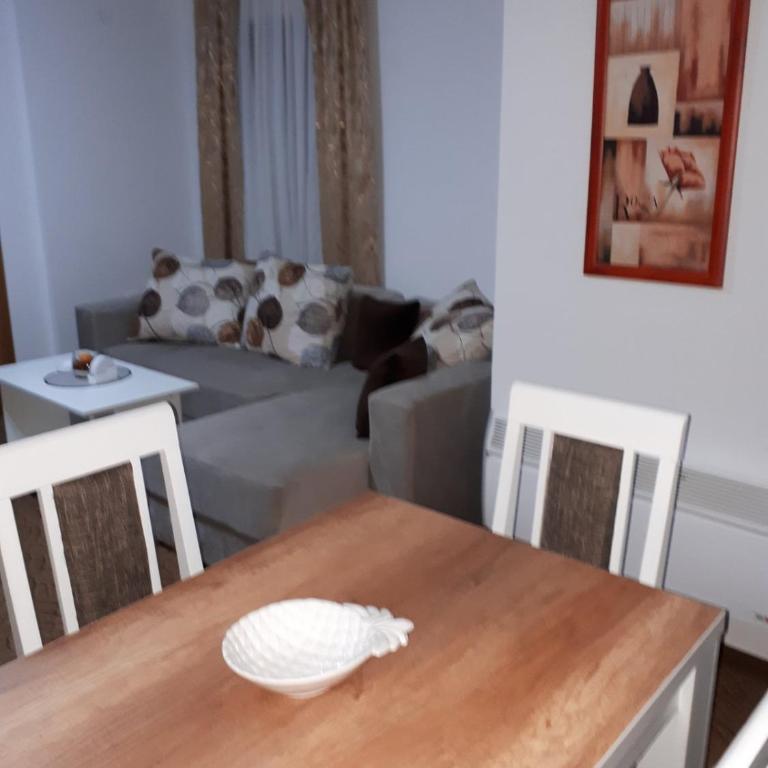Apartmani Pavlović - Apartman sa Pogledom na Planinu - 15