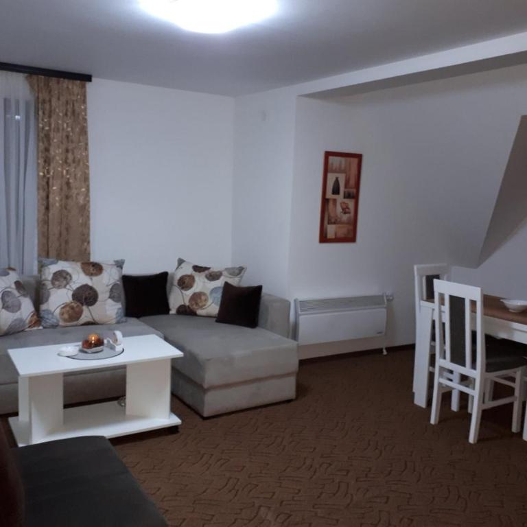 Apartmani Pavlović - Apartman sa Pogledom na Planinu - 16