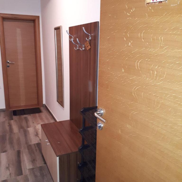 Apartmani Pavlović - Apartman sa Pogledom na Planinu - 14