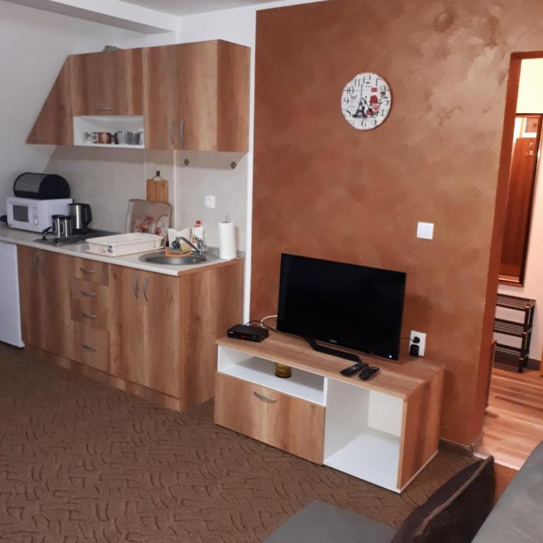 Apartmani Pavlović - Apartman sa Pogledom na Planinu - 18