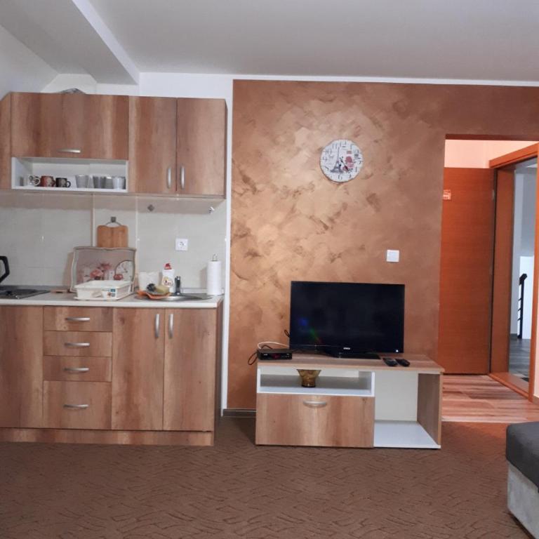 Apartmani Pavlović - Apartman sa Pogledom na Planinu - 19