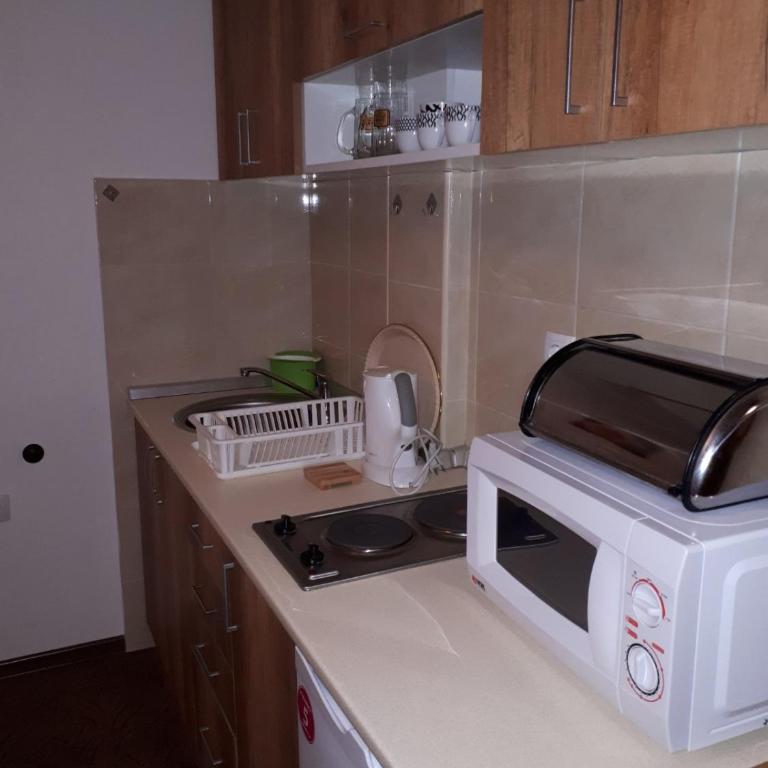 Apartmani Pavlović - Apartman sa Pogledom na Planinu - 15