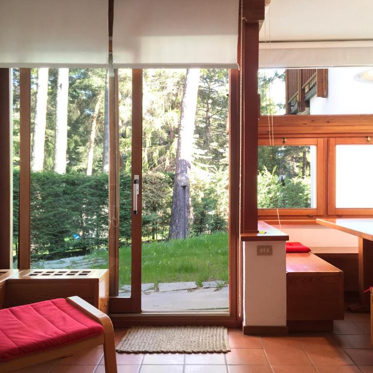 Scoiattolo - Appartamento - 7