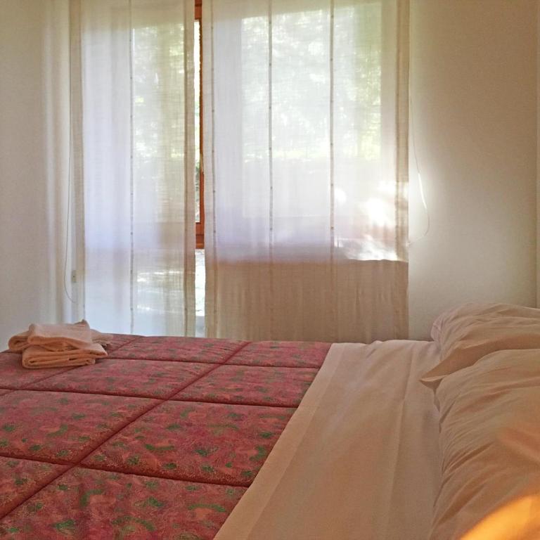 Scoiattolo - Appartamento - 11