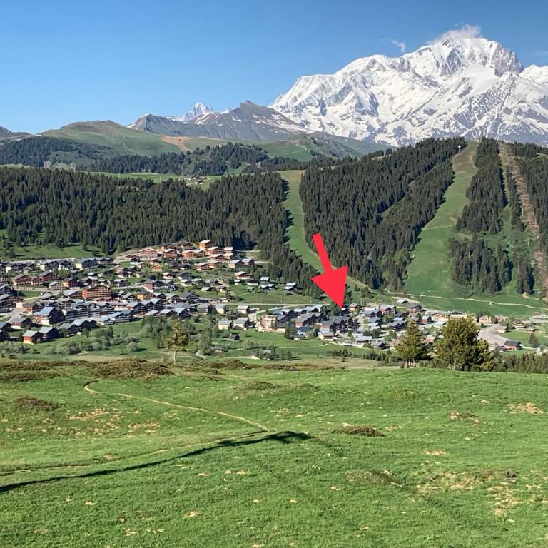 APPARTEMENT PLEIN SUD AUX SAISIES n3 - Apartment mit Blick auf die Berge - 1