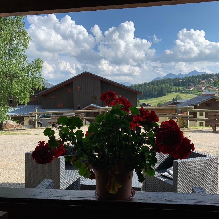 APPARTEMENT PLEIN SUD AUX SAISIES n3 - Apartment mit Blick auf die Berge - 6