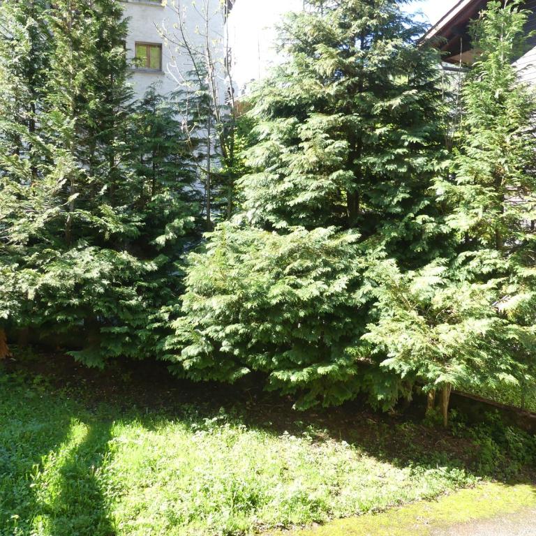 Gentianes 1 - Très bel appartement centre village et proche des pistes - Appartement - 15