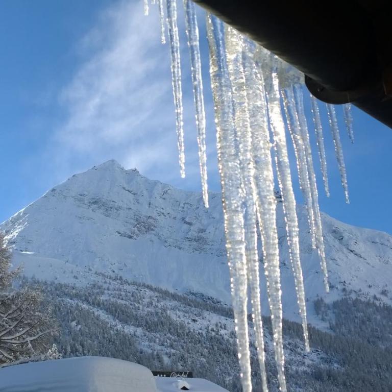 Apartment Swiss Chalet - Apartment mit 1 Schlafzimmer - 11