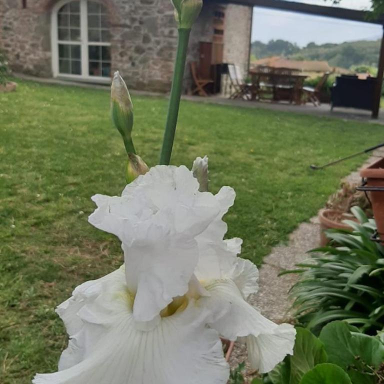 Casale Toscana - Casa con 3 Camere da Letto - 6