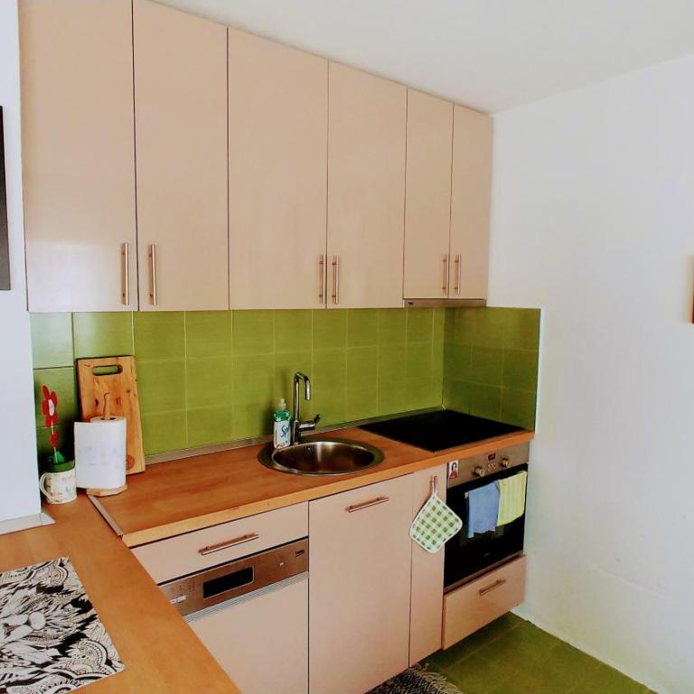 Spring Maja apartment - Apartman sa 1 Spavaćom Sobom - 5