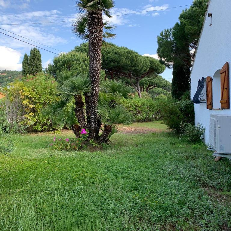 Maison sous les Pins - Maison 3 Chambres - 52