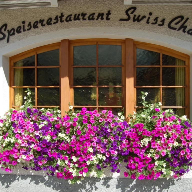 Apartment Swiss Chalet - Apartment mit 1 Schlafzimmer - 18