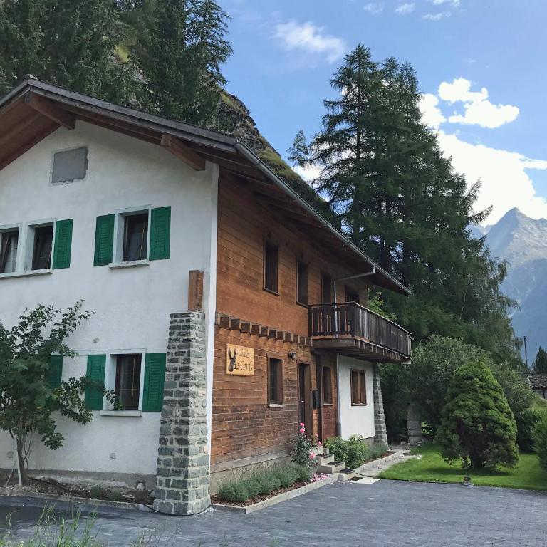 Chalet 12 Cerfs - Chalet - 38