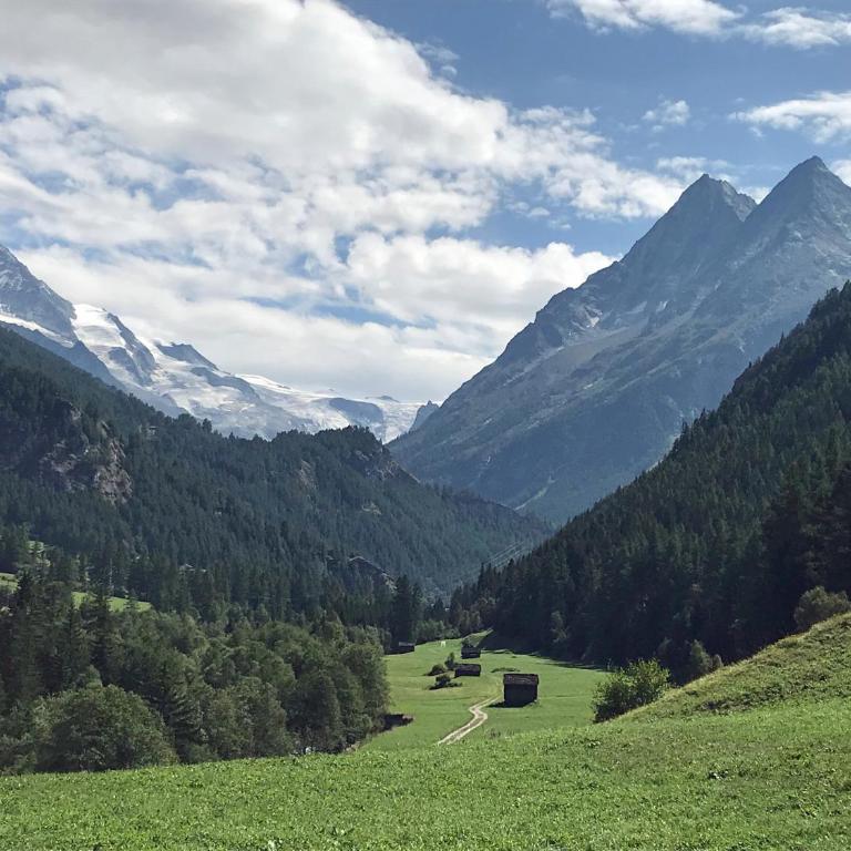 Chalet 12 Cerfs - Chalet - 33