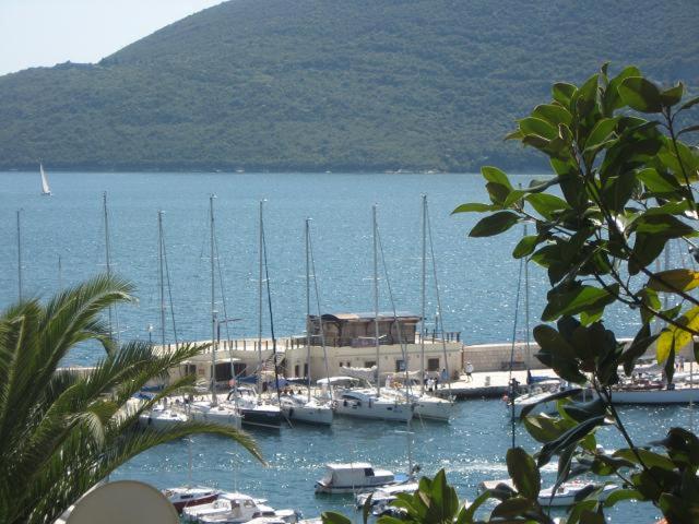 Apartments Forte Mare - Two-Bedroom Apartment with Sea View - 14