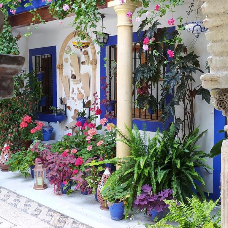 Alojamiento casa típica de Córdoba - Apartamento - Planta baja - 21